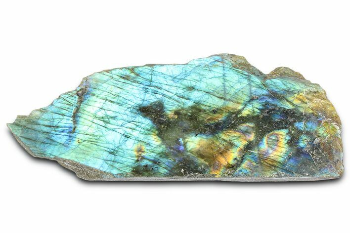Single Side Polished Labradorite Section - Madagascar #364304